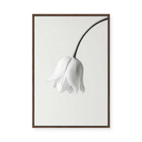 Elegant White Bloom | Framed Canvas