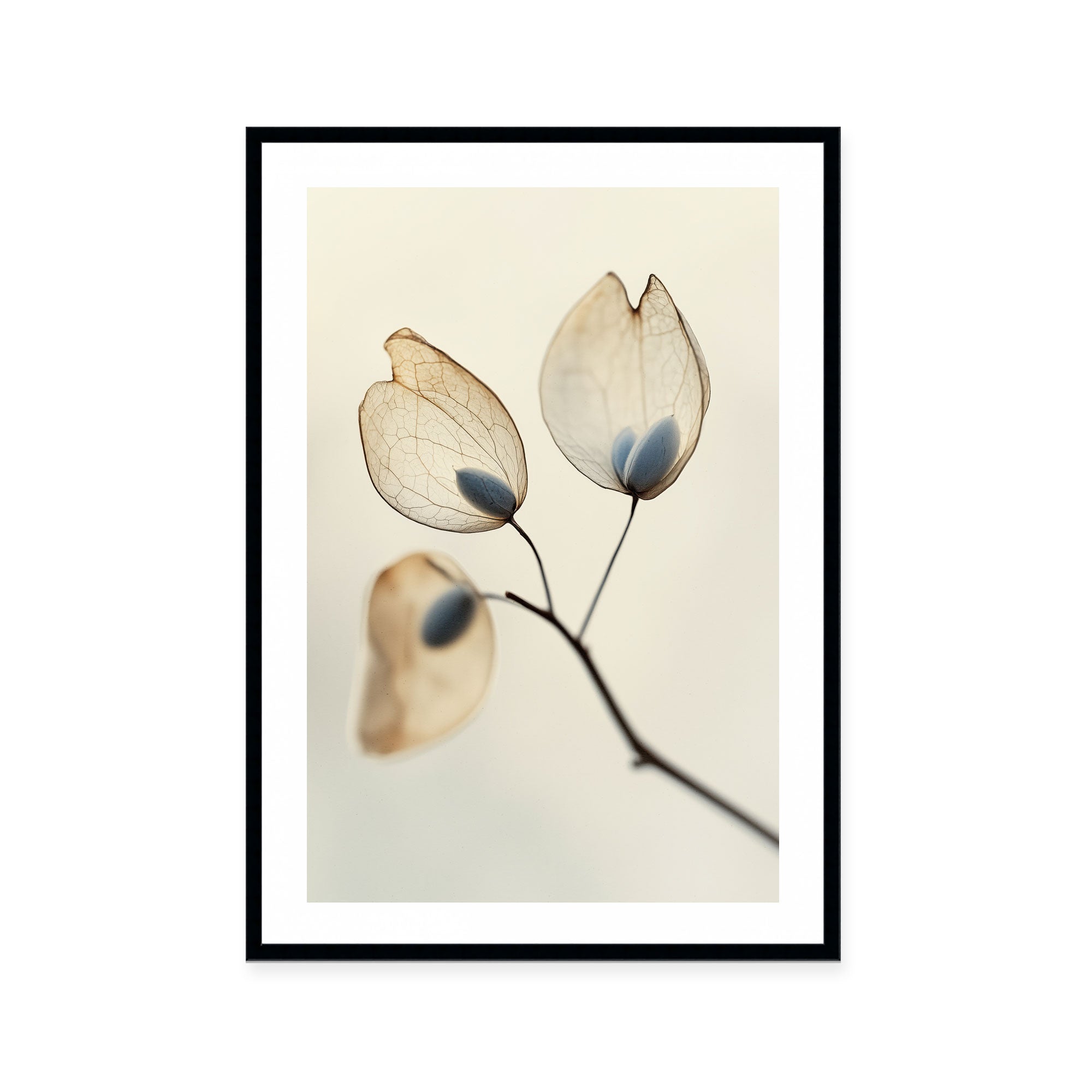Ethereal Blooms