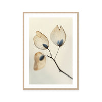 Ethereal Blooms