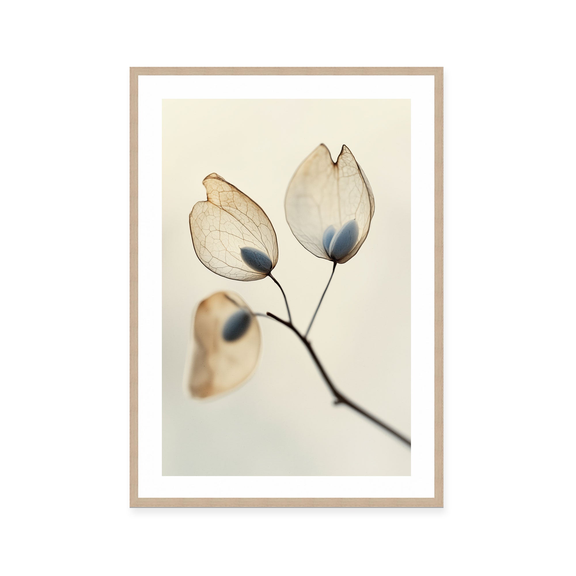 Ethereal Blooms