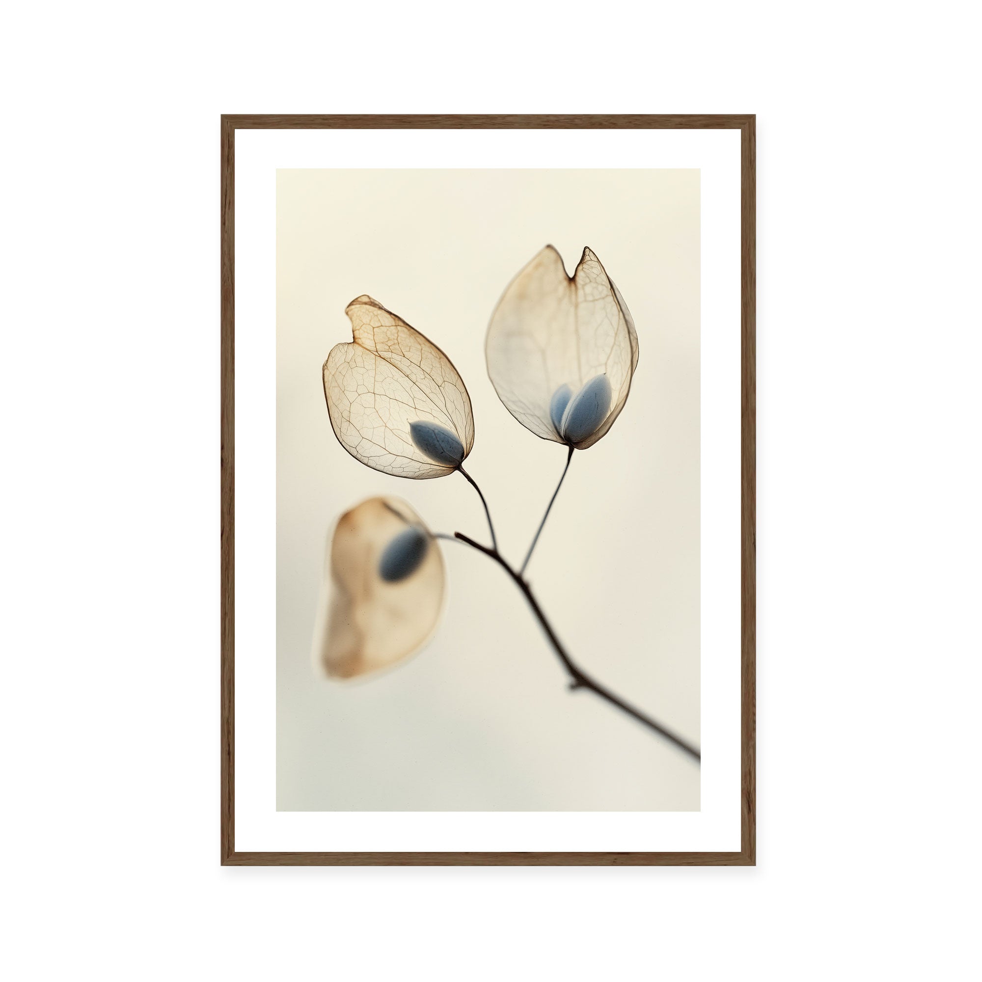 Ethereal Blooms