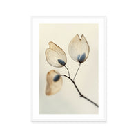 Ethereal Blooms