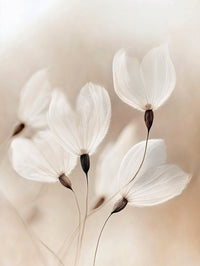 Ethereal Blossoms
