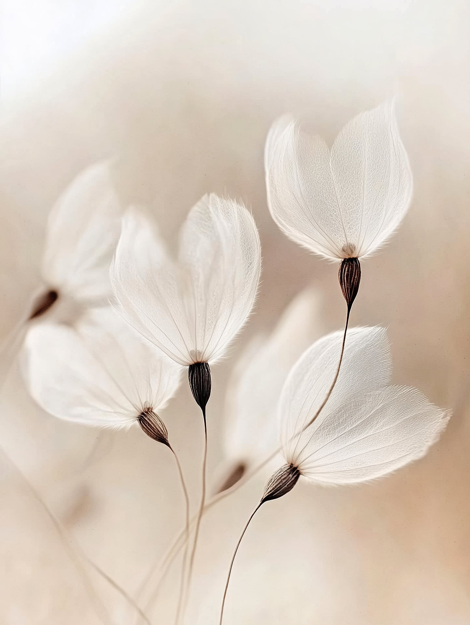 Ethereal Blossoms
