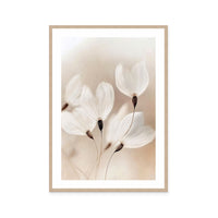 Ethereal Blossoms