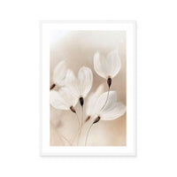 Ethereal Blossoms