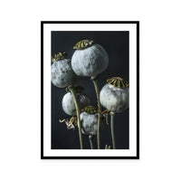 Ethereal Capsules