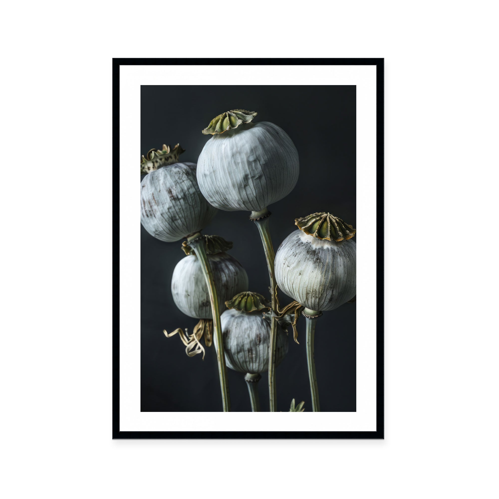Ethereal Capsules