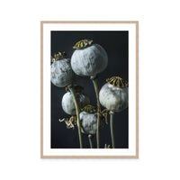 Ethereal Capsules