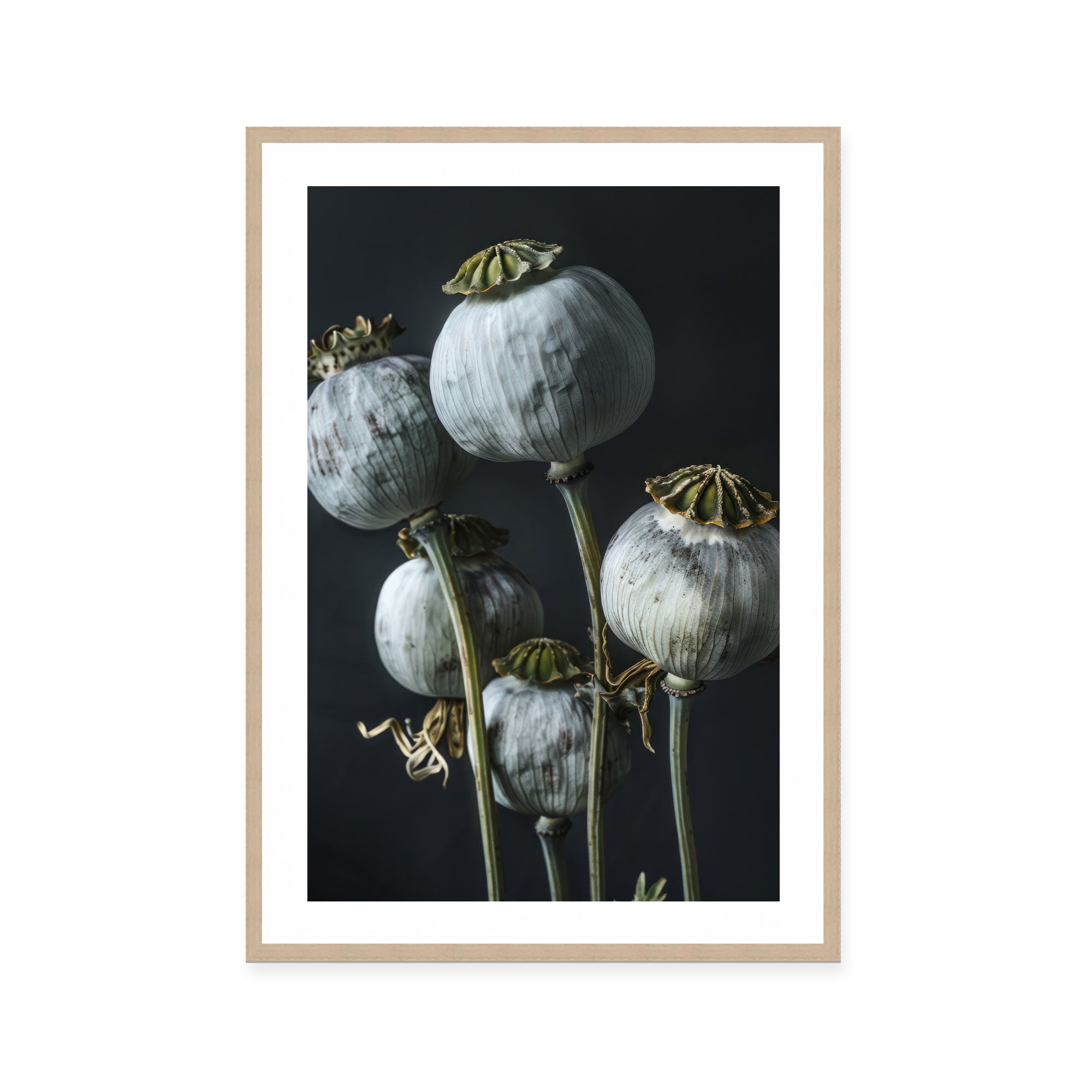 Ethereal Capsules