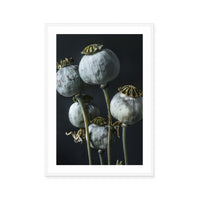 Ethereal Capsules