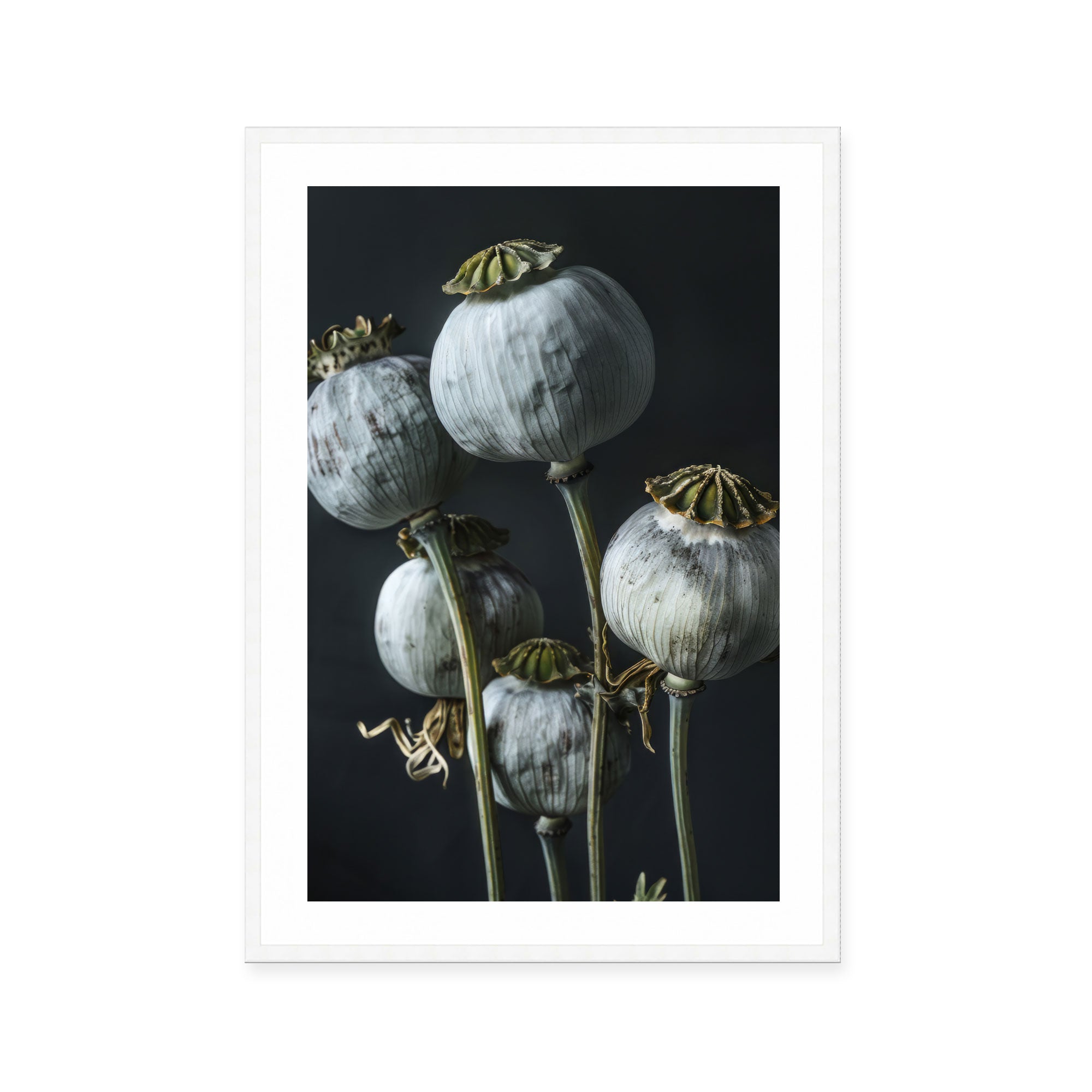 Ethereal Capsules
