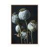 Ethereal Capsules | Framed Canvas
