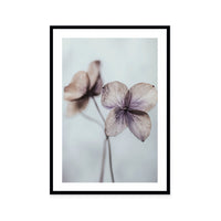 Ethereal Petals