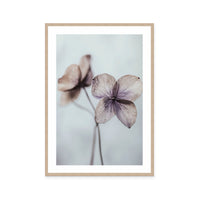Ethereal Petals