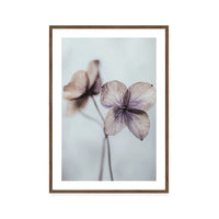 Ethereal Petals