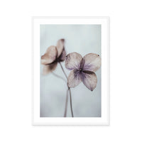 Ethereal Petals