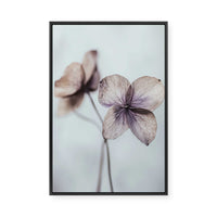 Ethereal Petals | Framed Canvas