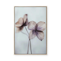 Ethereal Petals | Framed Canvas