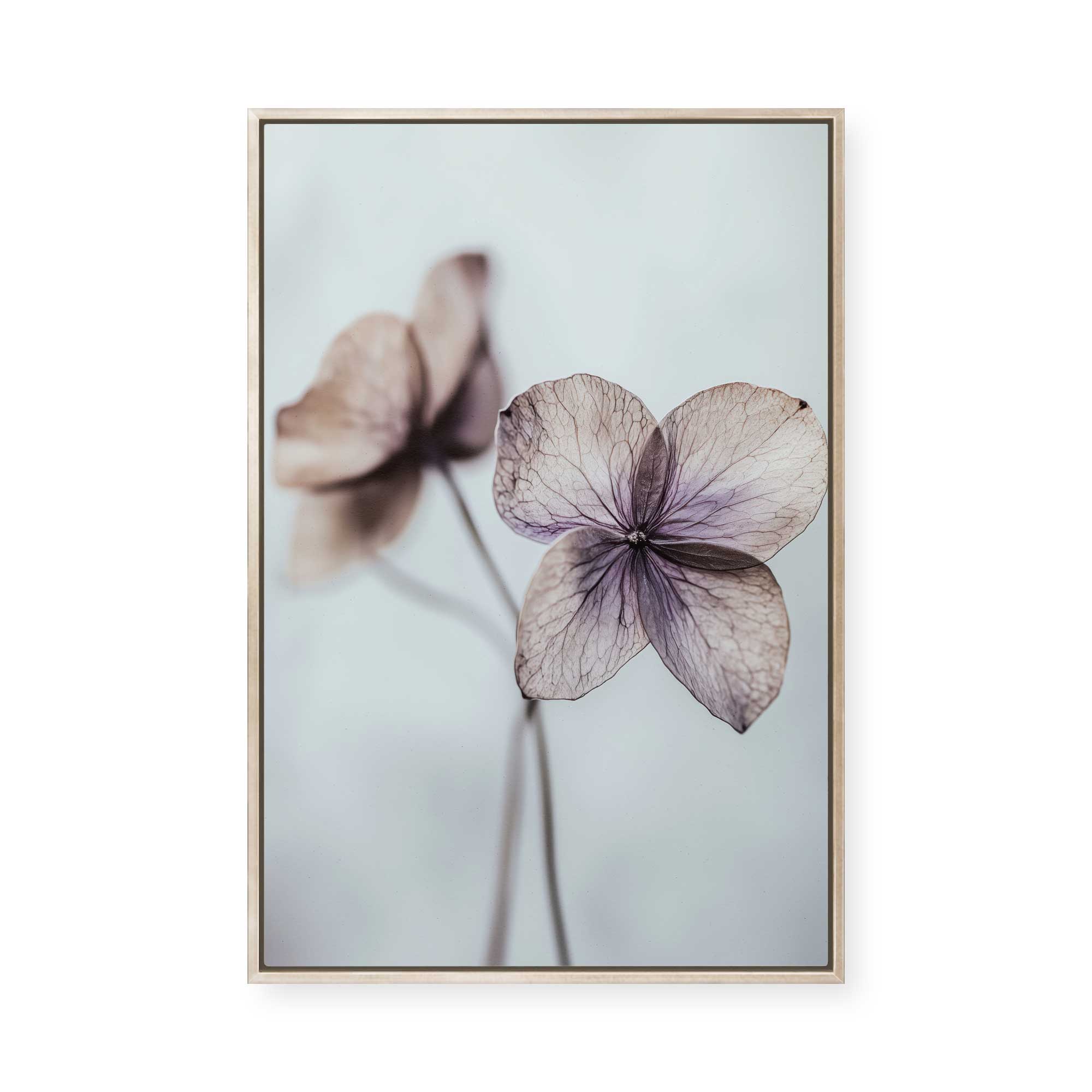 Ethereal Petals | Framed Canvas