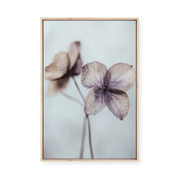 Ethereal Petals | Framed Canvas