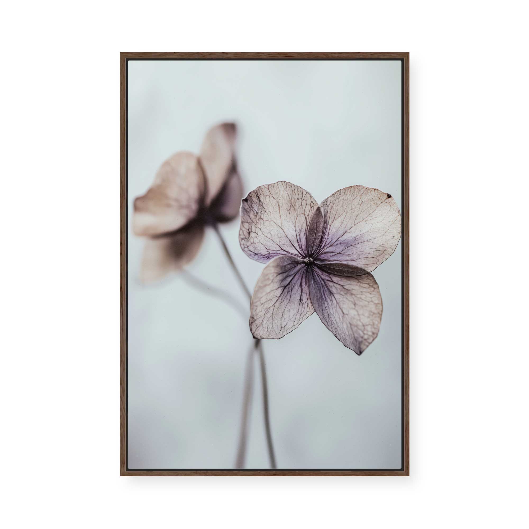 Ethereal Petals | Framed Canvas