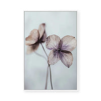 Ethereal Petals | Framed Canvas