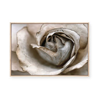 Faded Blossom | Framed Canvas