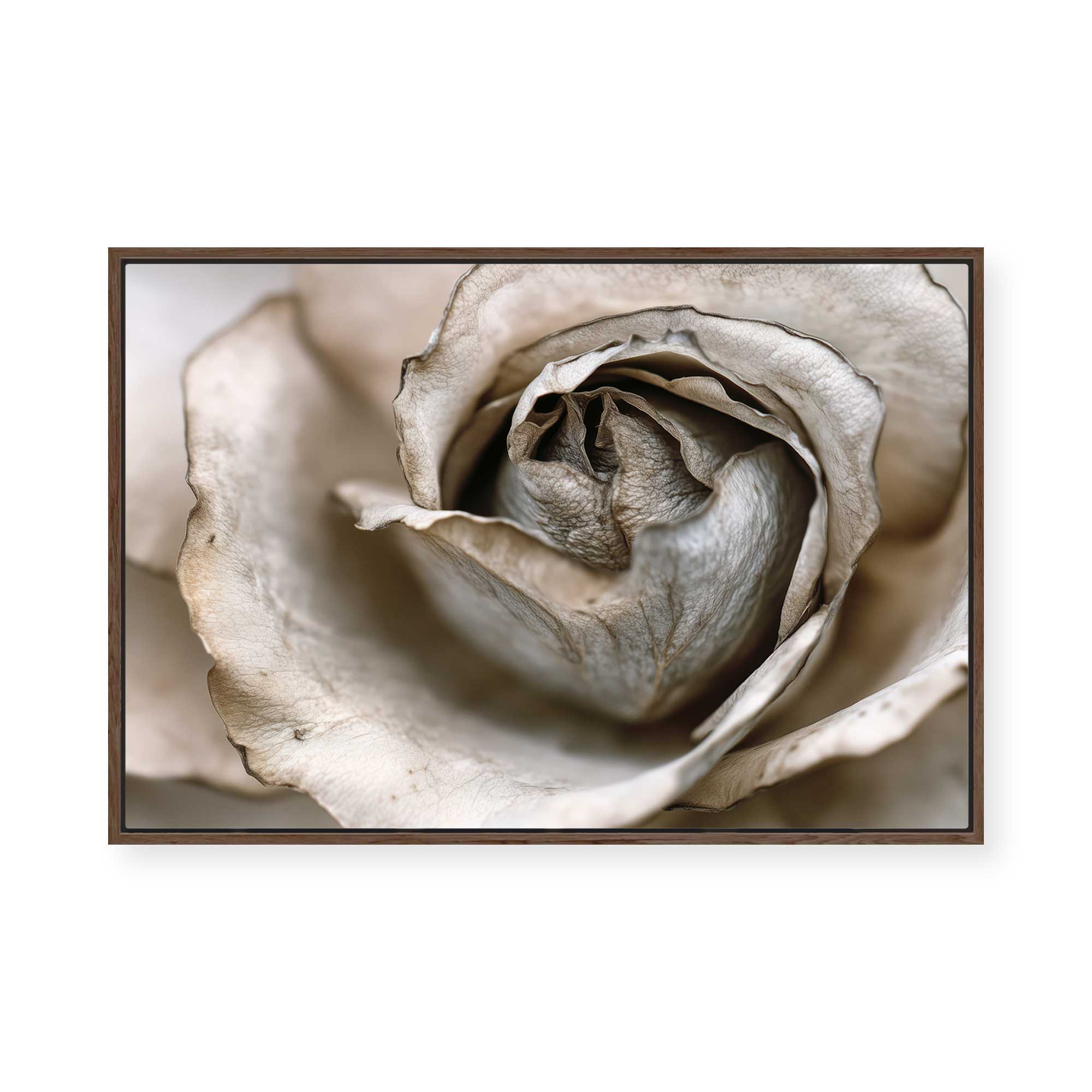 Faded Blossom | Framed Canvas