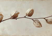 Faded Elegance