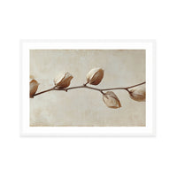 Faded Elegance