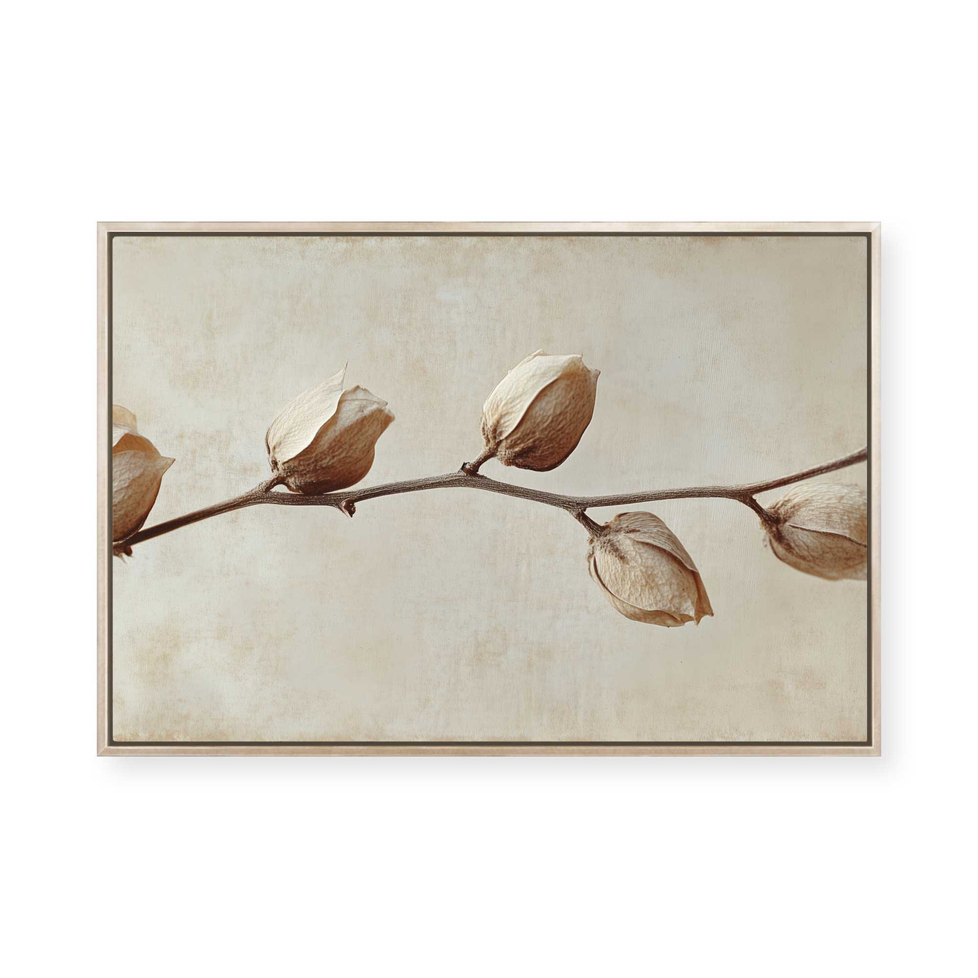 Faded Elegance | Framed Canvas