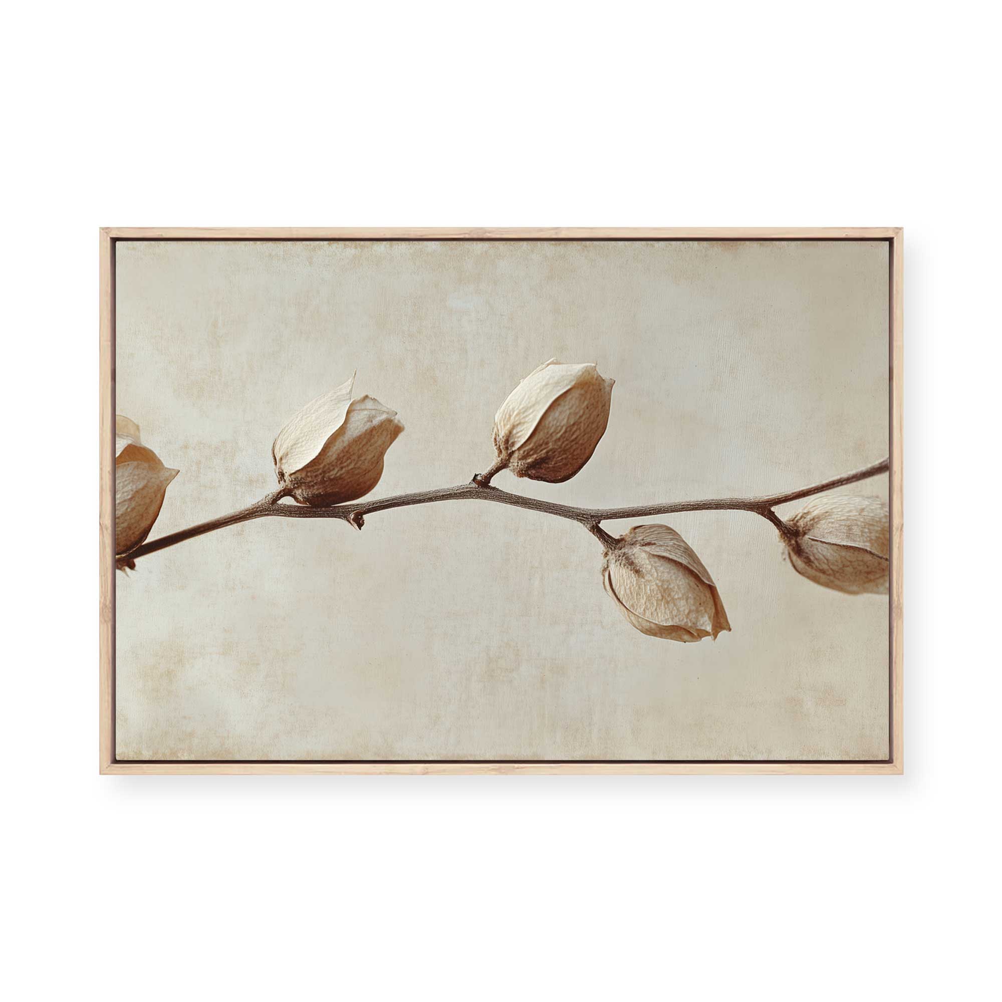 Faded Elegance | Framed Canvas
