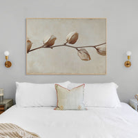 Faded Elegance