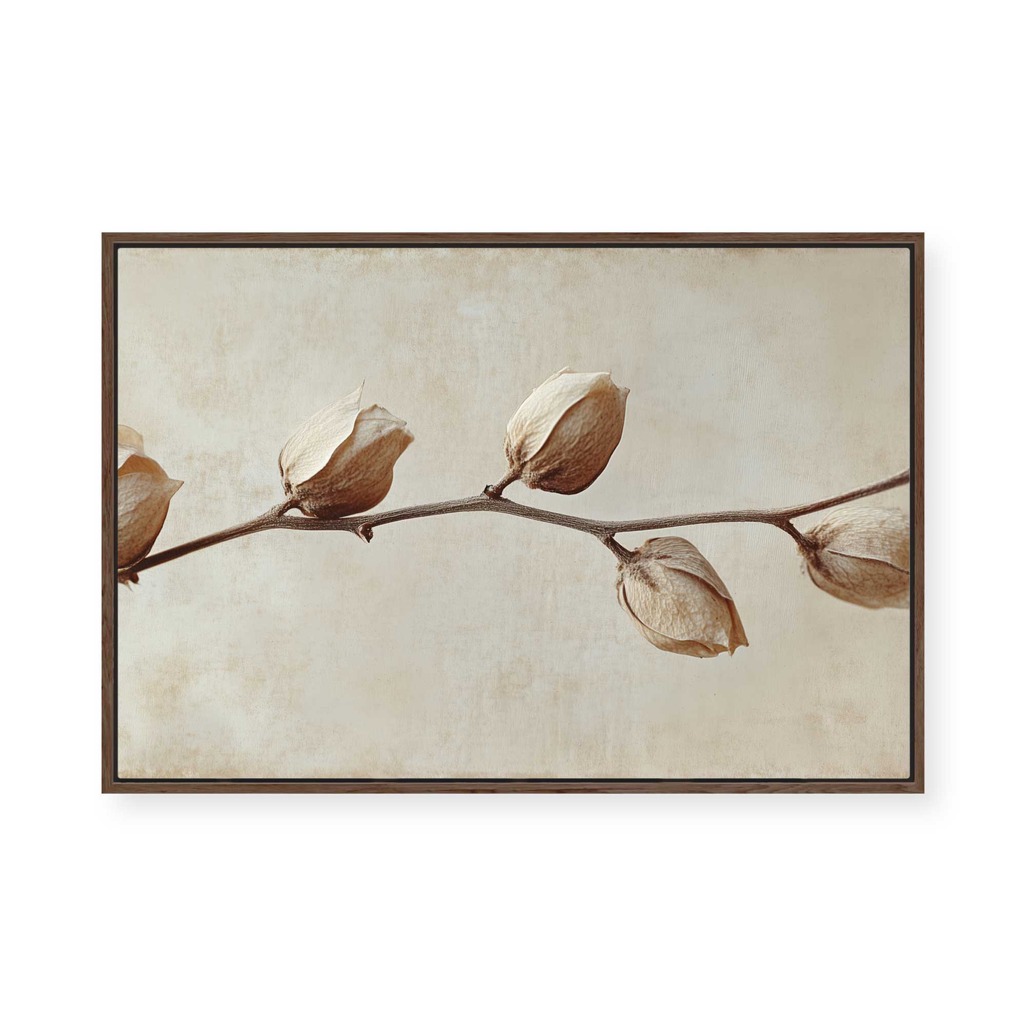 Faded Elegance | Framed Canvas