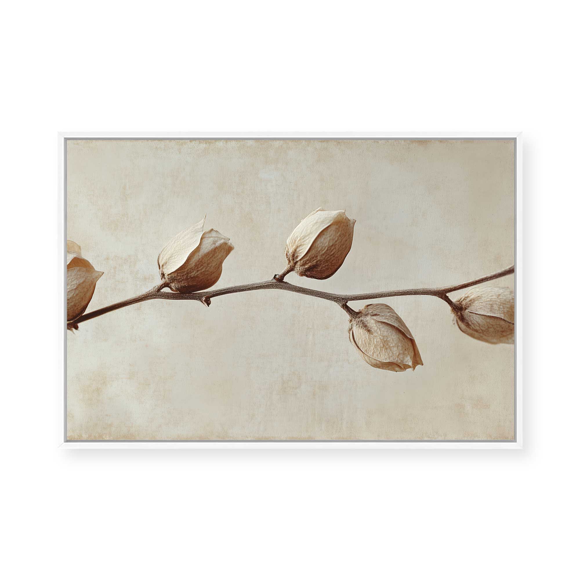 Faded Elegance | Framed Canvas
