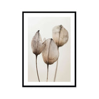 Faded Petal Trio