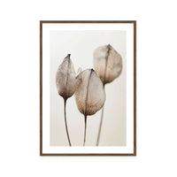 Faded Petal Trio