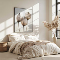 Faded Petal Trio | Framed Canvas