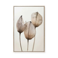 Faded Petal Trio | Framed Canvas