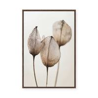 Faded Petal Trio | Framed Canvas