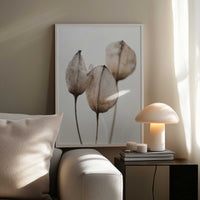 Faded Petal Trio
