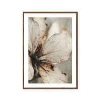Faded Petal Whisper