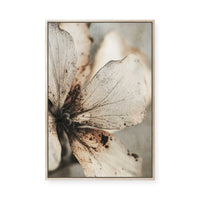 Faded Petal Whisper | Framed Canvas