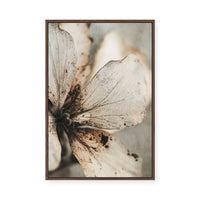 Faded Petal Whisper | Framed Canvas