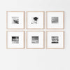 Vignette Gallery Set - Print & Frame | Gallery Set of 6 | Square