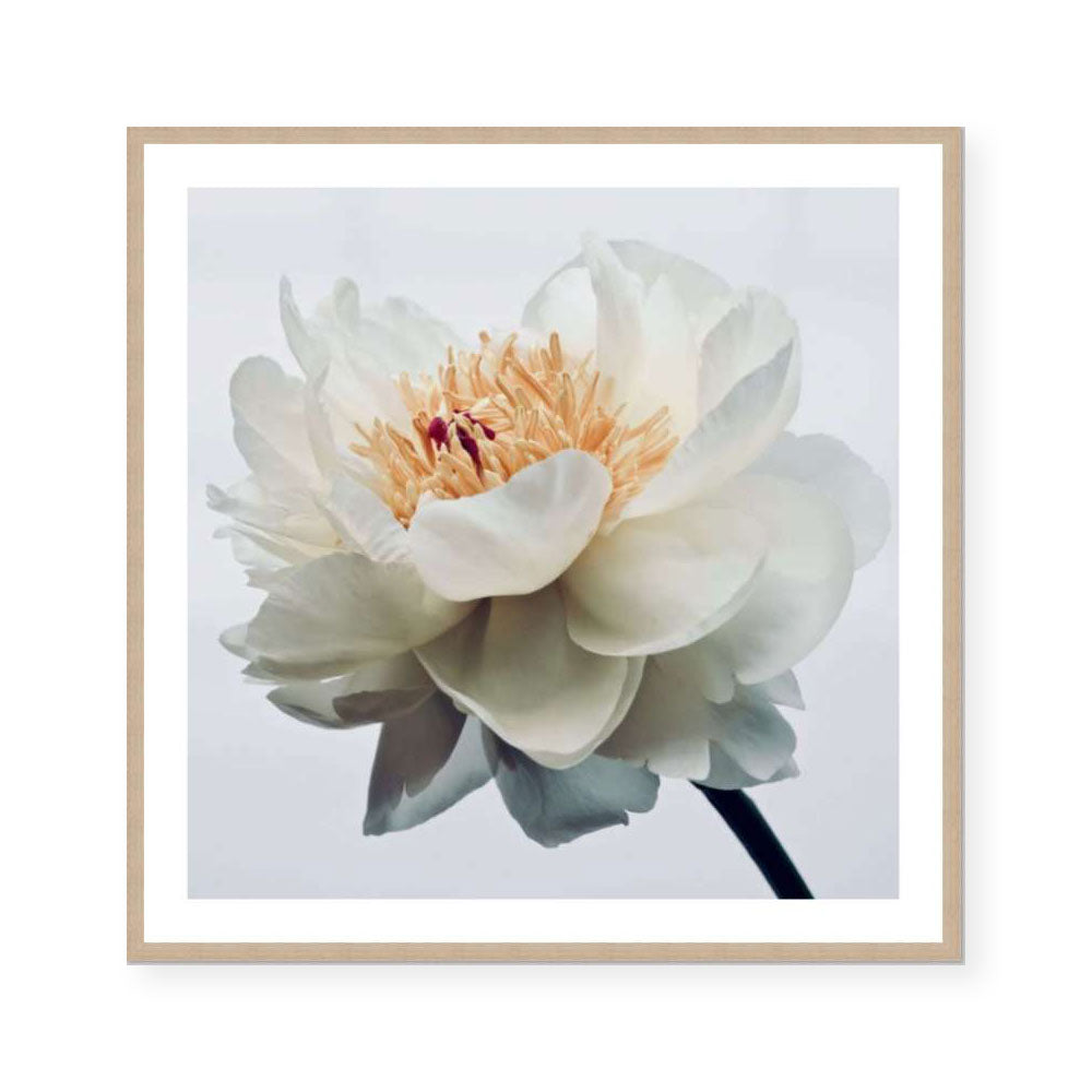 George | Katie Clulow