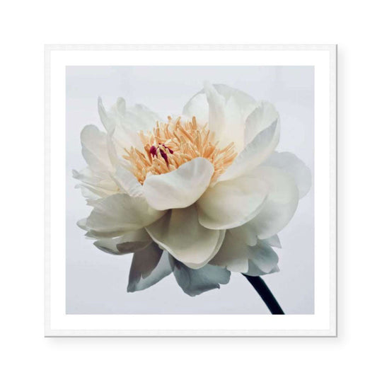 George | Katie Clulow