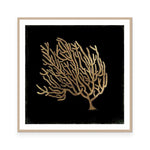 Gold Coral II