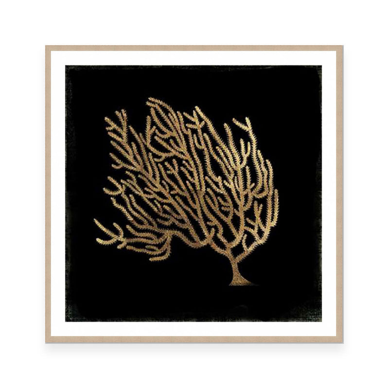 Gold Coral II